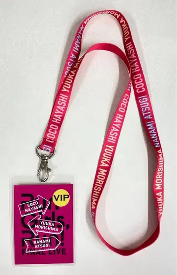 FINAL LIVE ~새로운 길의 저편으로~ Run Girls,Run! VIP PASS(낮 공연)
