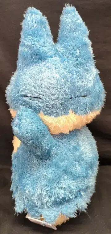 BANDAI SPIRITS 메챠모후굿토 쿠츠로기 타임 봉제 인형 포켓몬스터 꼬부기