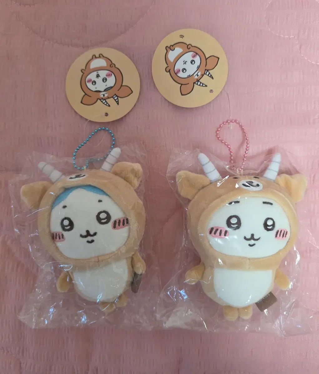 치이카와 나가노 마켓 임팔라 마스코트 하치와레 치이카와