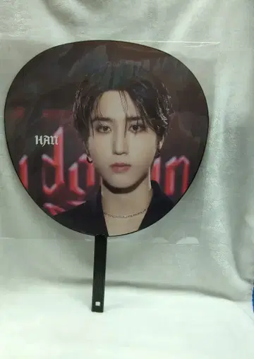 StrayKids 2024 dominATE JAPAN HAN 부채