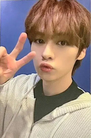 StrayKids 5-STAR LeeKnow 트레이딩 카드