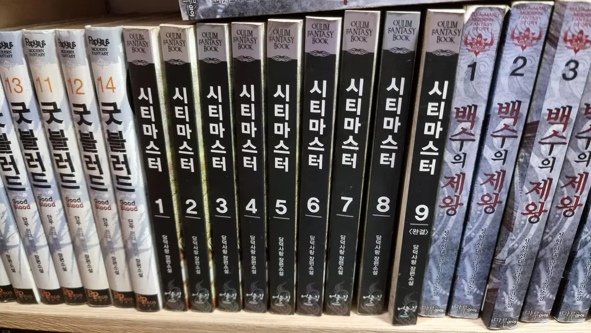 시티마스터 1-9 완 담덕사랑 판타지 소설