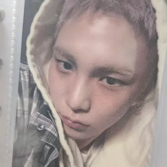 샤이니 키 애트모사 슴미니 앨포