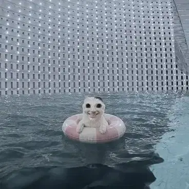 완료