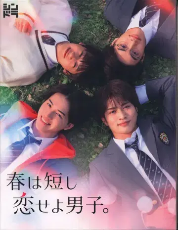 일본 국내 드라마 DVD 봄은 짧고 연애는 남자다 DVD BOX