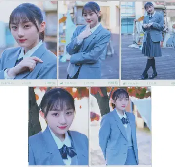 노기자카46 WebShop 한정판 카와사키 사쿠라 17분간 5종 컴프