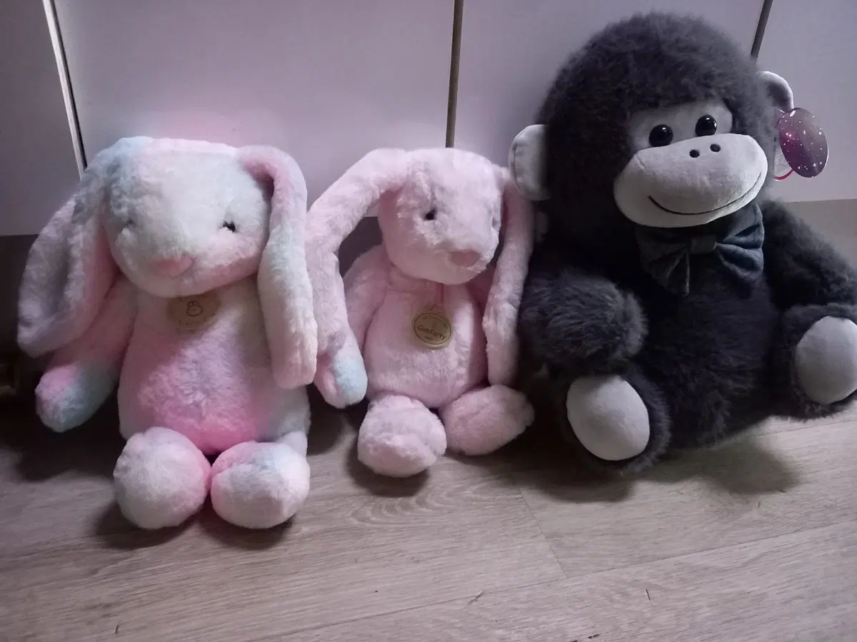 인형일괄
