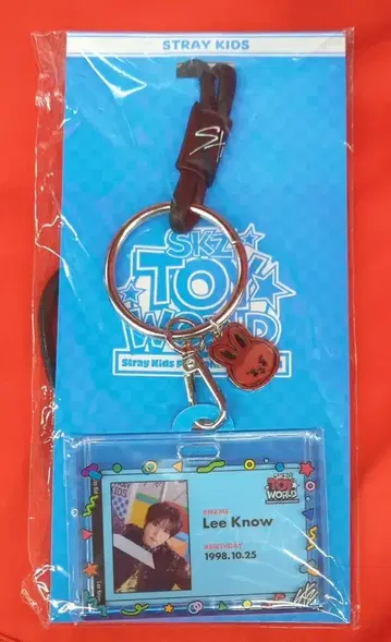 StrayKids 2024TOY WORLD LeeKnow 패스케이스 (ID 카드 세트)