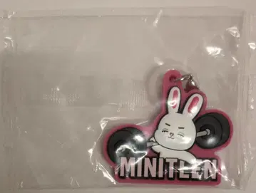 SEVENTEEN MINITEEN S.COUPS 통통 메지루시 액세서리