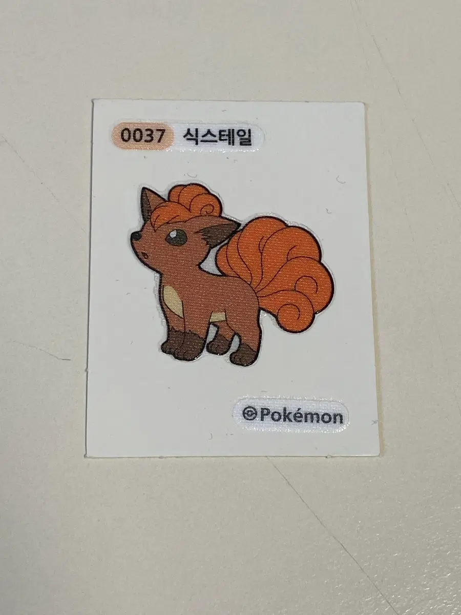 식스테일 띠부씰 37