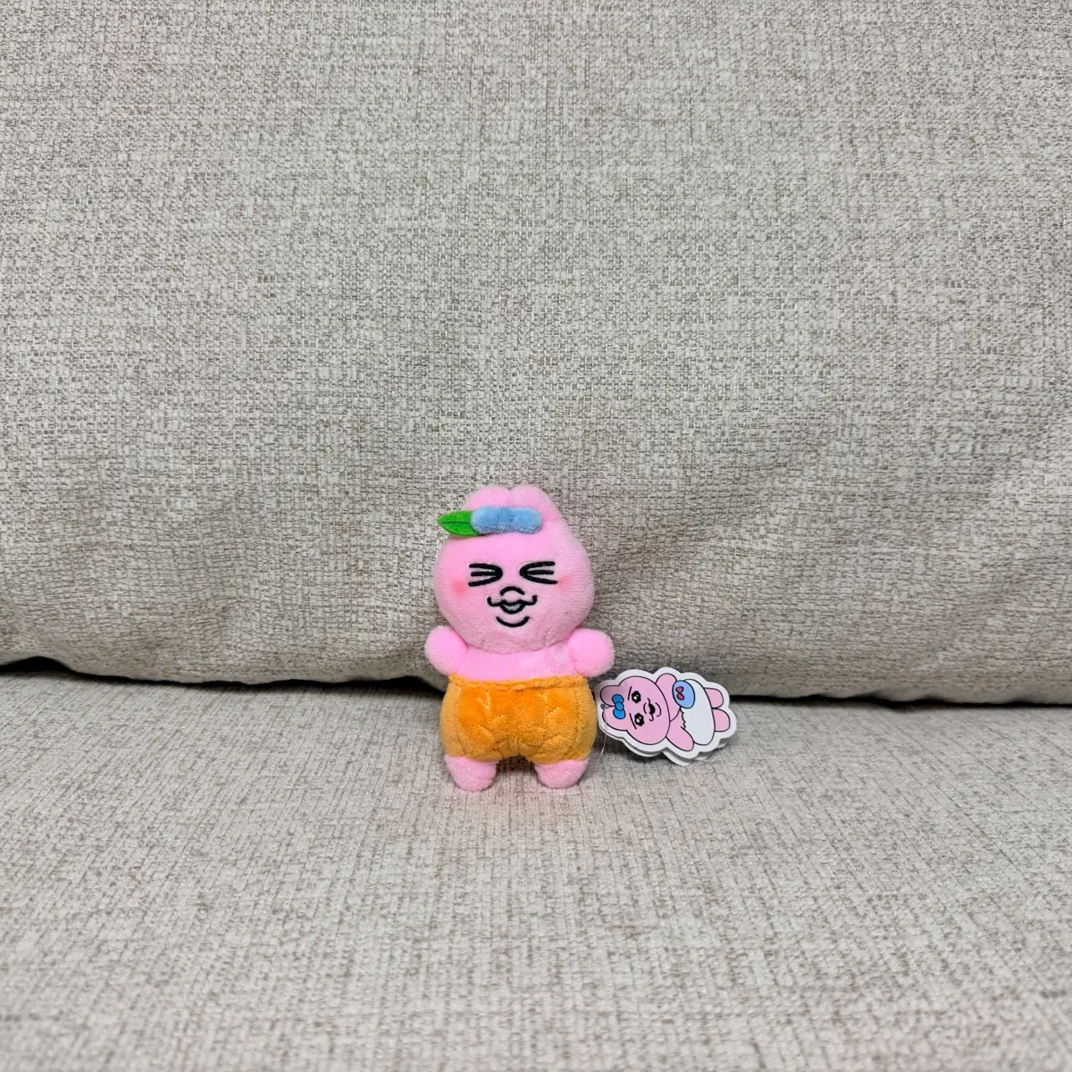 정품 빤쮸토끼 귤 봉제 키링 인형
