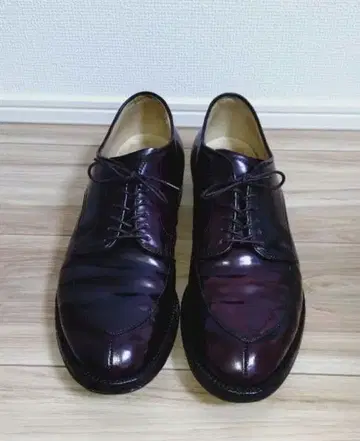 알든 54321 버건디 코도반 US10D