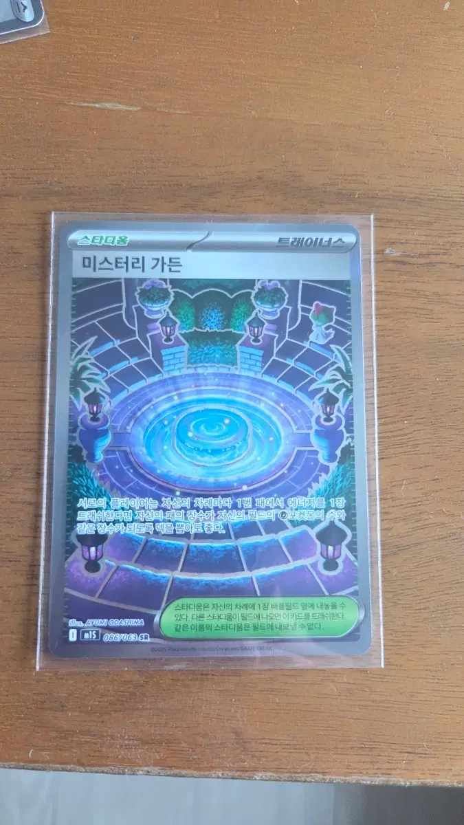 포켓몬 카드 미스터리 가든 sr