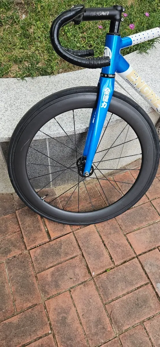 csc60림