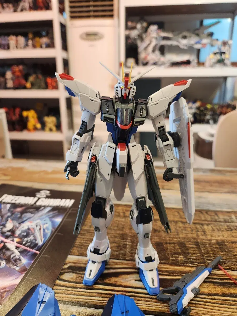 MG 프리덤 건담