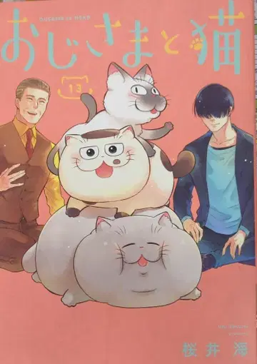 스퀘어 에닉스 간간 코믹스 pixiv 사쿠라이 카이 !!) 오지사마와 고양이 13