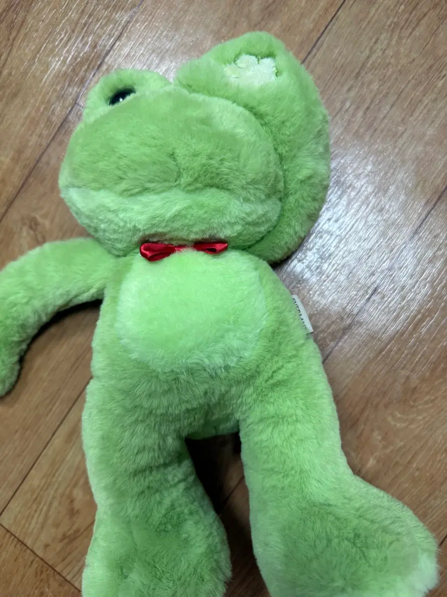 까꿍 개구리인형 에버랜드
