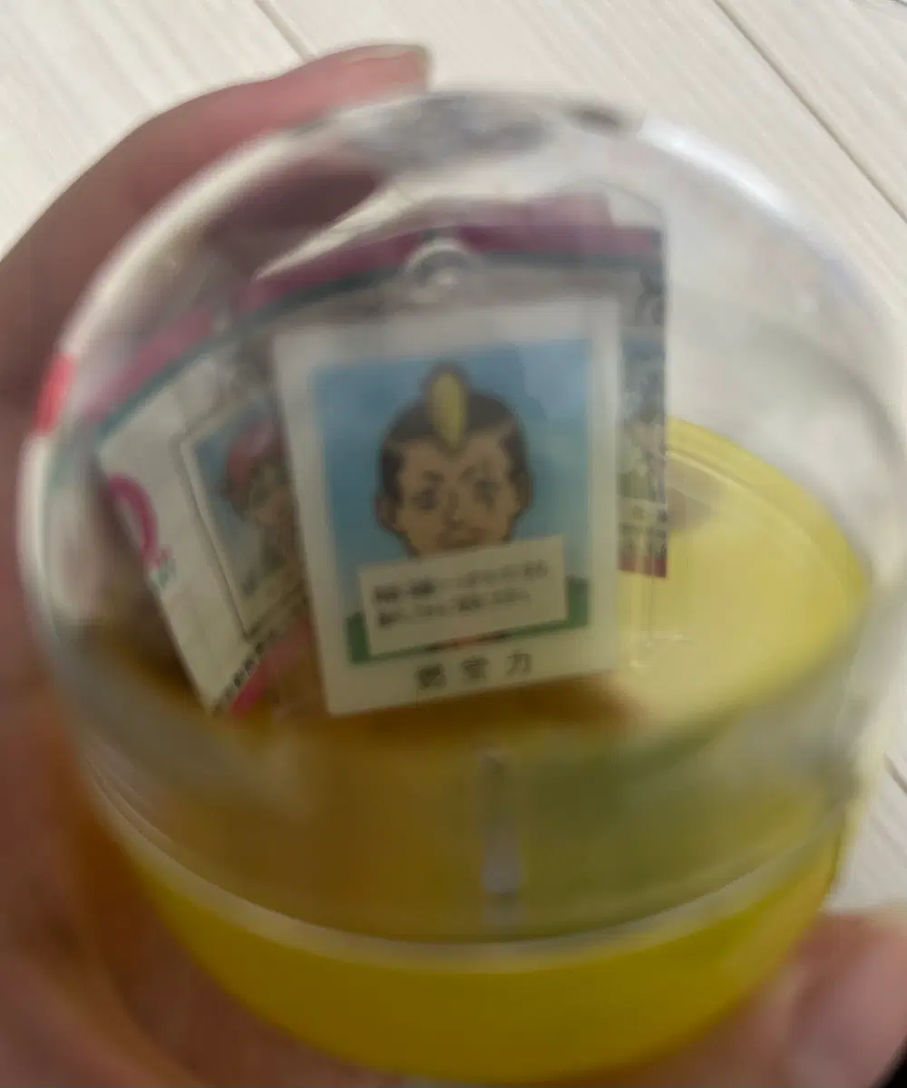 미개봉 사이키쿠스오 증명사진 가챠 넨도 하이로