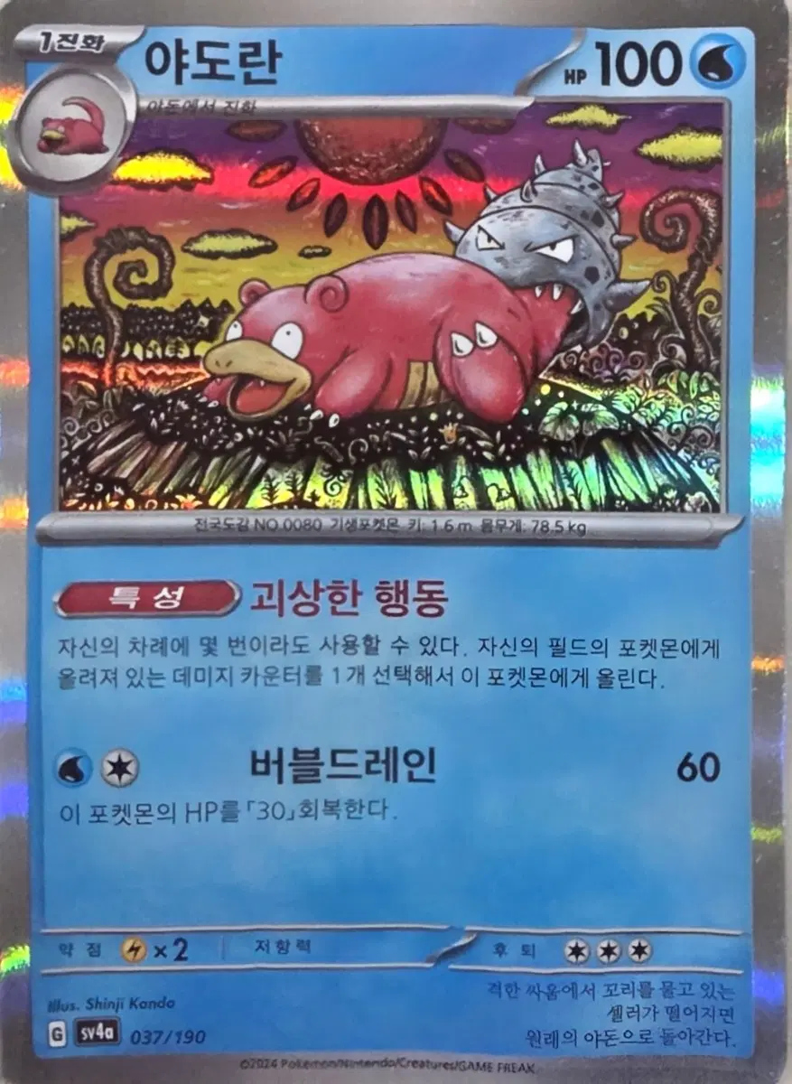 포켓몬 카드 신지칸다 야도란