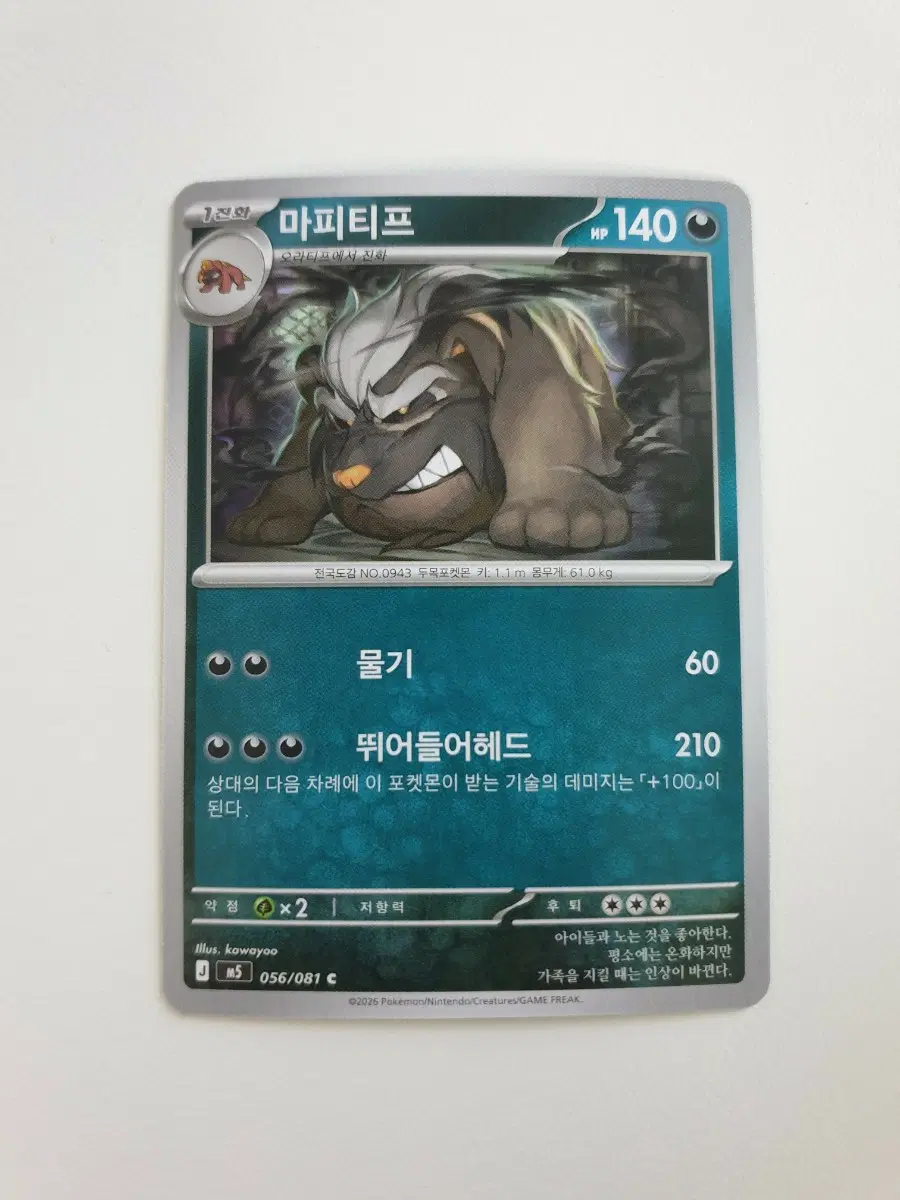 마피티프 포켓몬카드