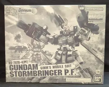 BANDAI SPIRITS MG 1/100 건담 빌드 다이버즈 Genius Head Line 건담 스톰 브링거 P.F.