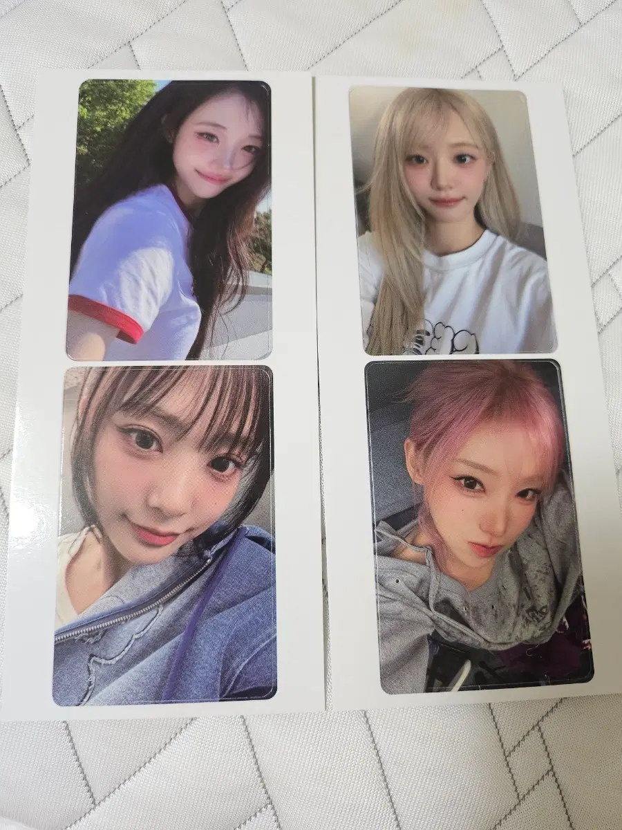 QWER 우리틴틴 포토카드 4장