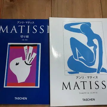 앙리 마티스 TASCHEN 아트 북