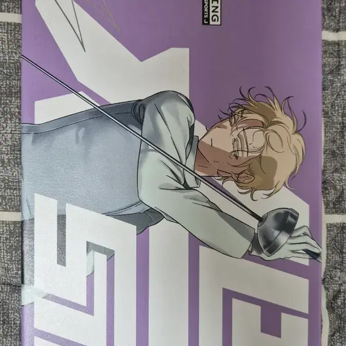 에이스테 루카 스포츠 색지