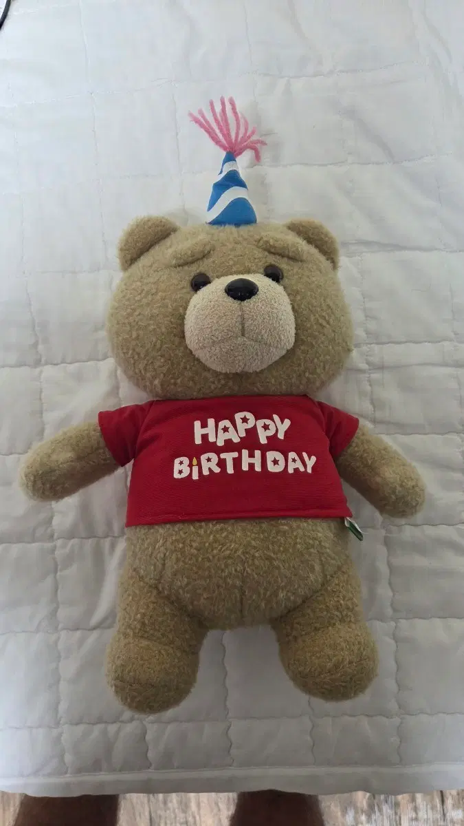 테드 곰 인형 생일 기념 빨간 티셔츠