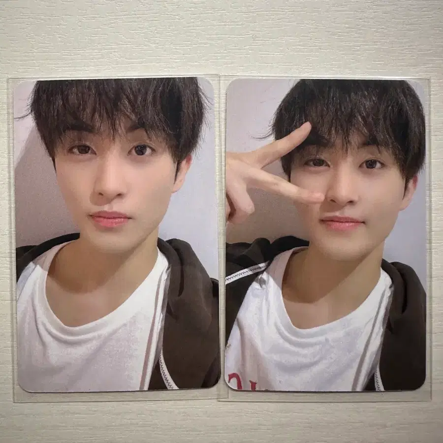 일괄)엔시티 마크 드림스케이프 팬싸 포카&폴라
