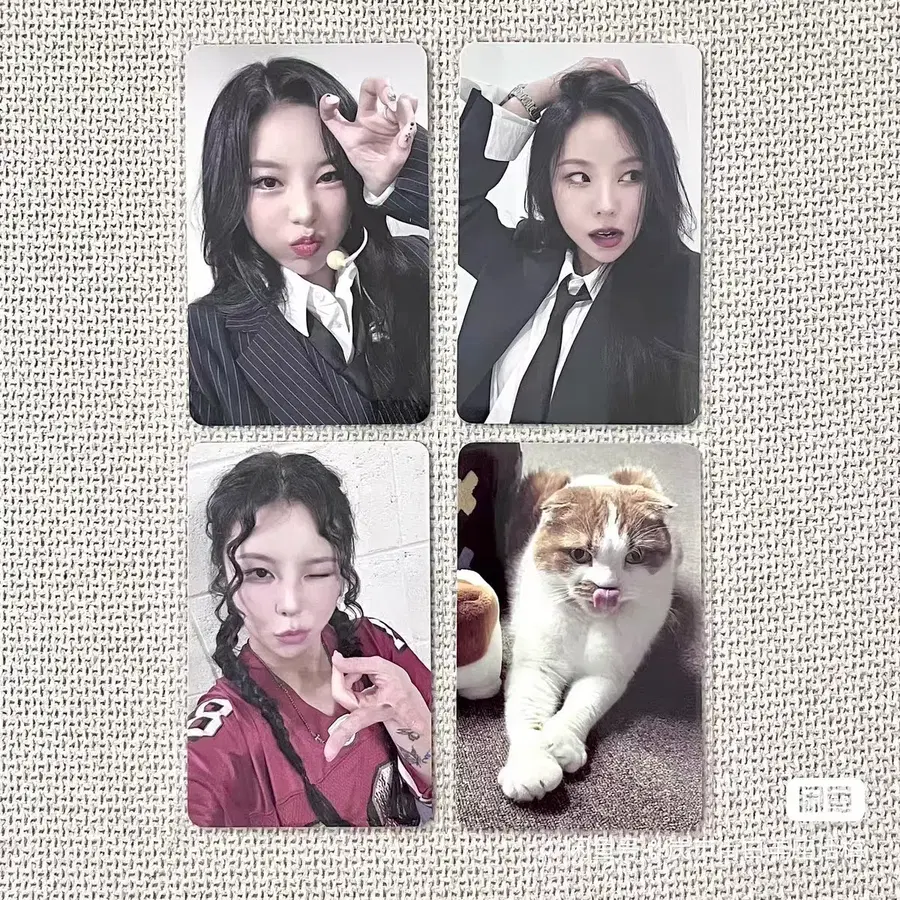예판 마마무 대만 포카 일괄