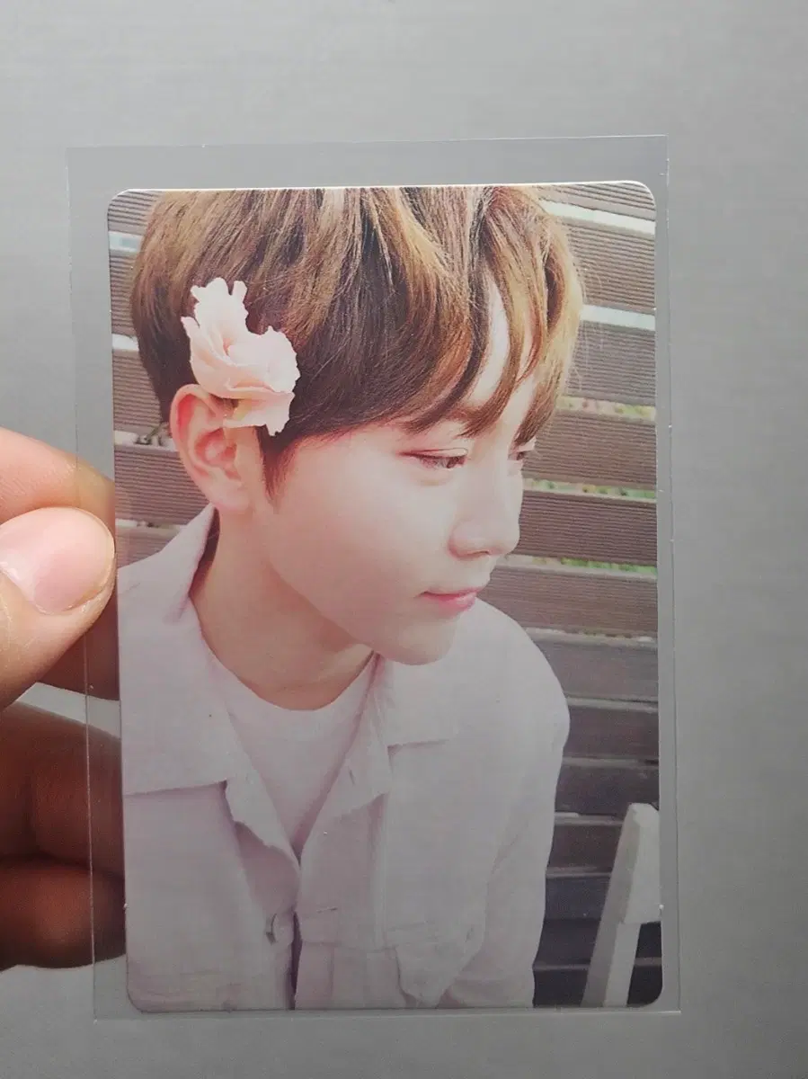 세븐틴 박화부 포카 양도합니다!! [세븐틴 부승관 박수 포카]