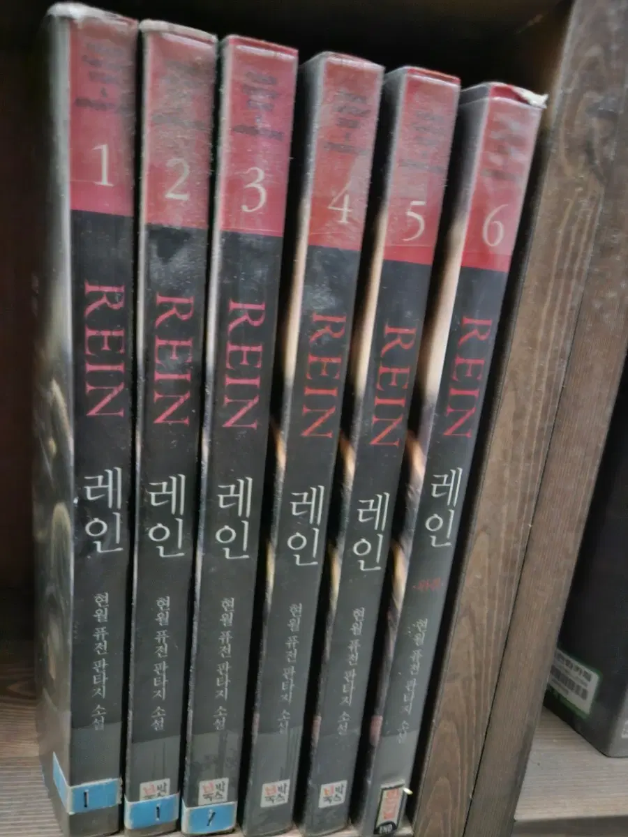 레인1-6완