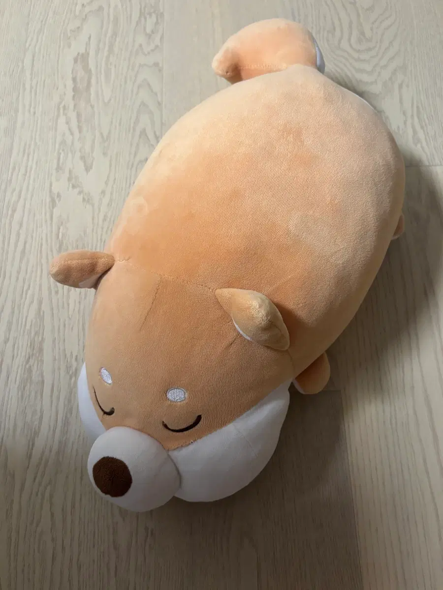 모찌모찌 시바 인형