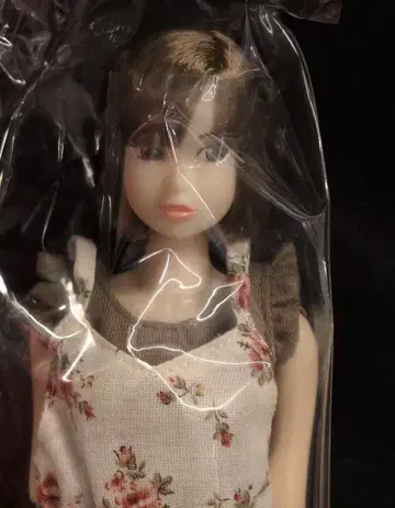 펫웍스 CCS-momoko 14NY PS
