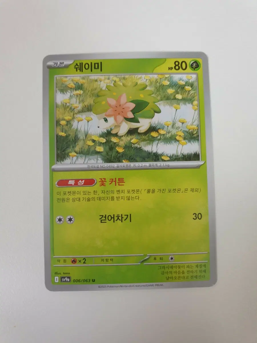 포켓몬카드 쉐이미