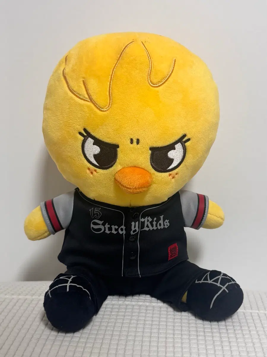 스키즈 스키주 뽁아리 일본 콘서트 엠디 굿즈