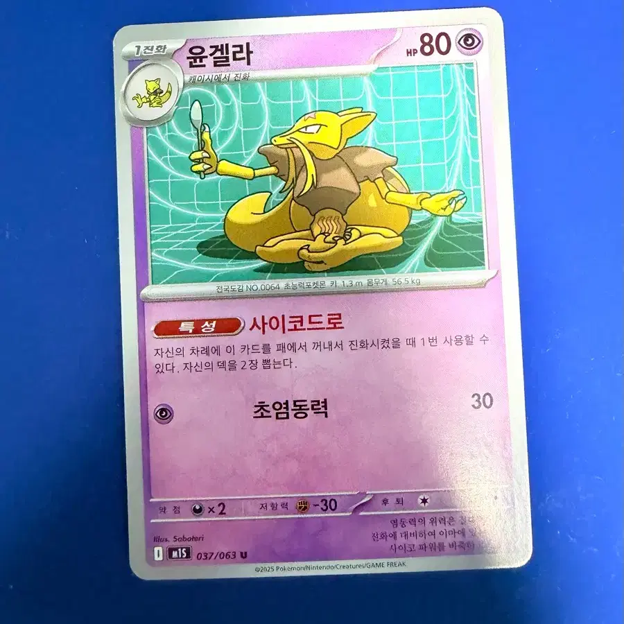 포켓몬카드 윤겔라 카드
