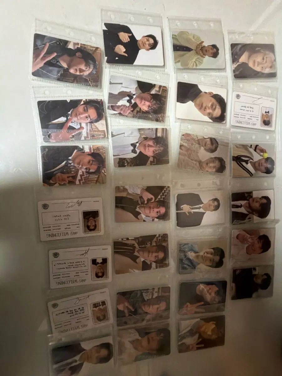 데이식스 포카일괄