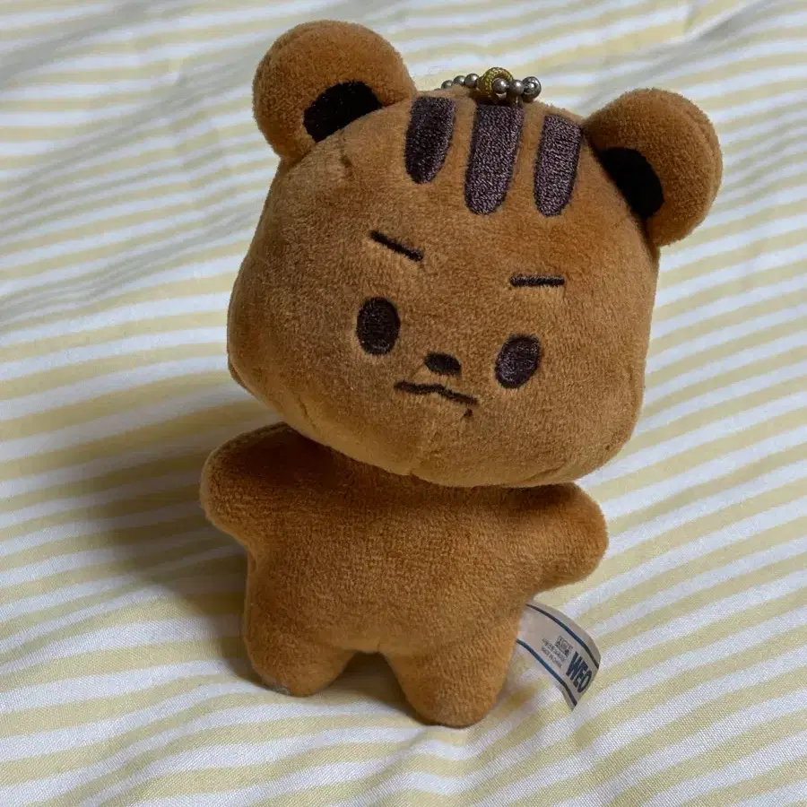 큐람지 10cm