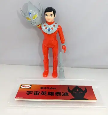 타이거마크 궁극 생명체 테디