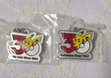 포켓몬 30주년 피카츄 메탈 참 마스코트 메지루시 2개 세트