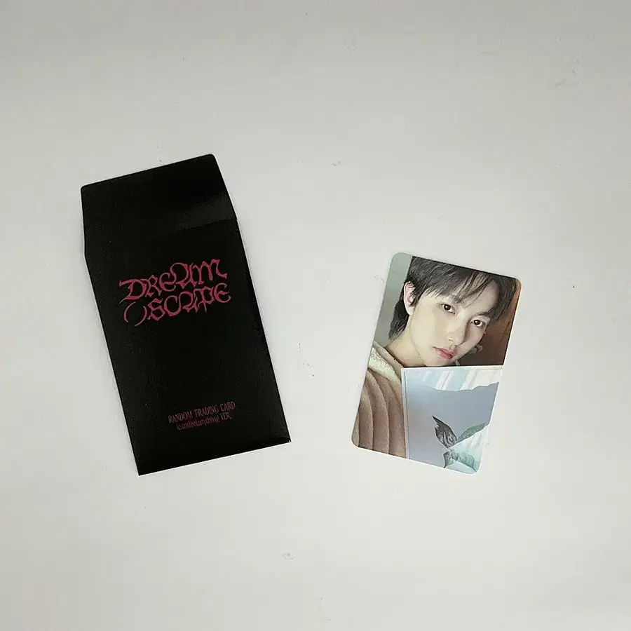 엔시티 드림 런쥔 드림 스케이프 트레이딩카드 포토카드 C버전 2 NCT DREAM RENJUN DREAM( )SCAPE TRADINGCARD PHOTOCARD C_2