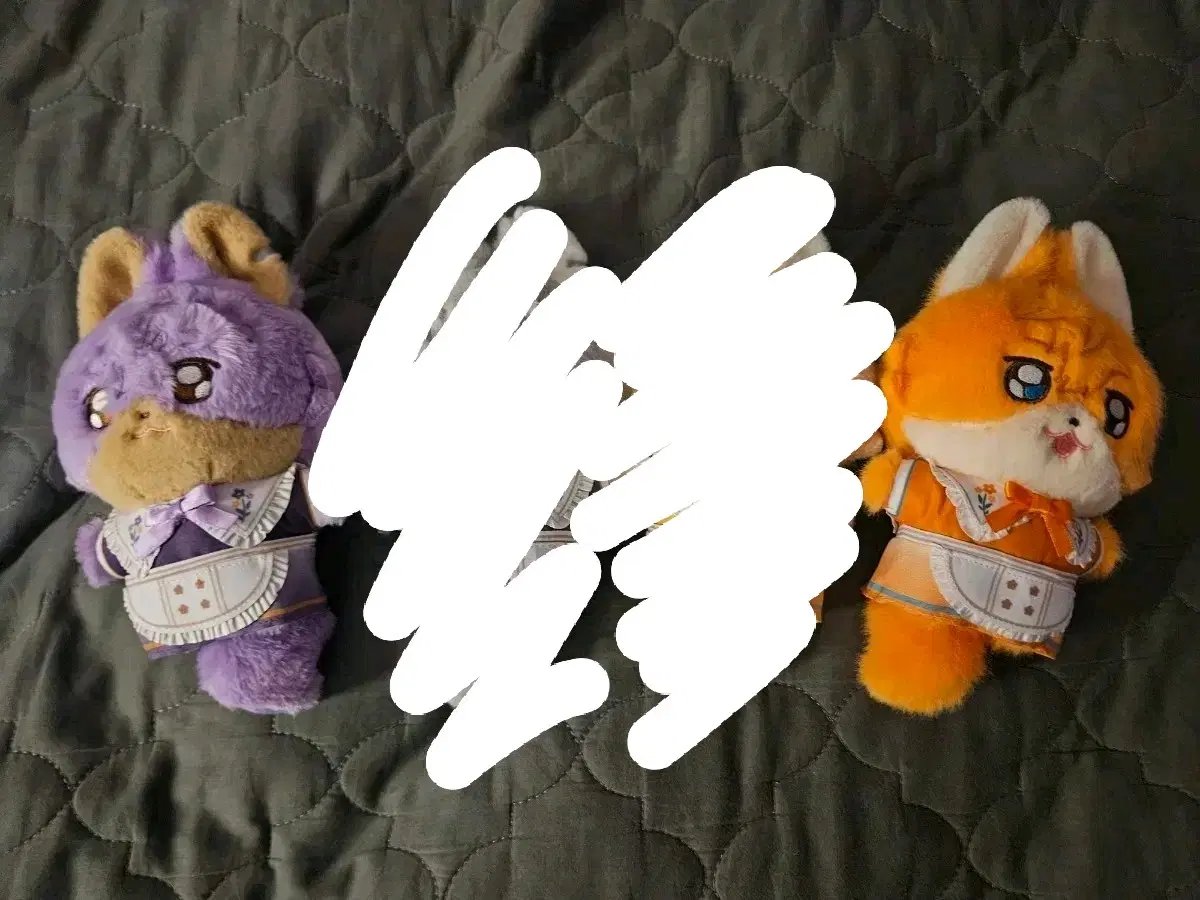 앙스타 카페누이 스바루 아도니스