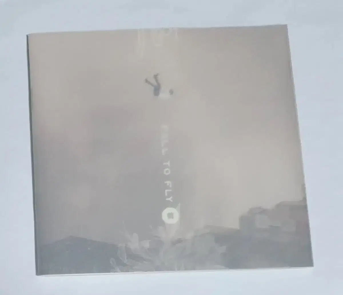 이승환 11집 Fall To Fly 앨범 시디 CD