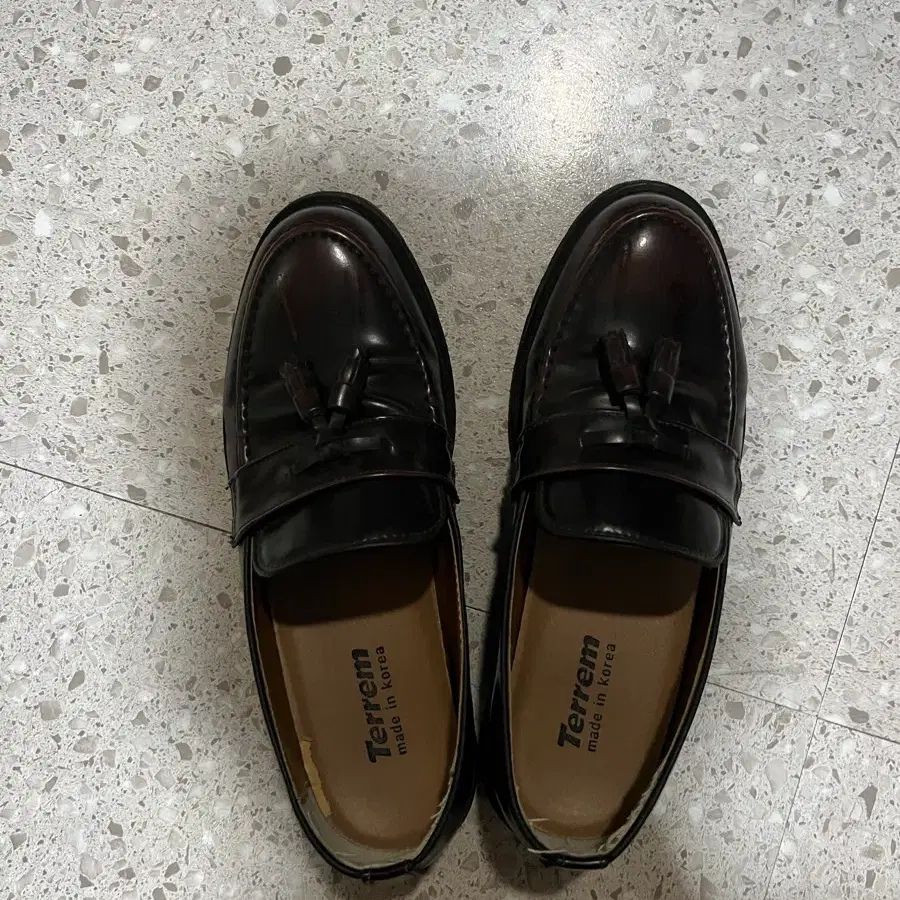 테렘 태슬 로퍼