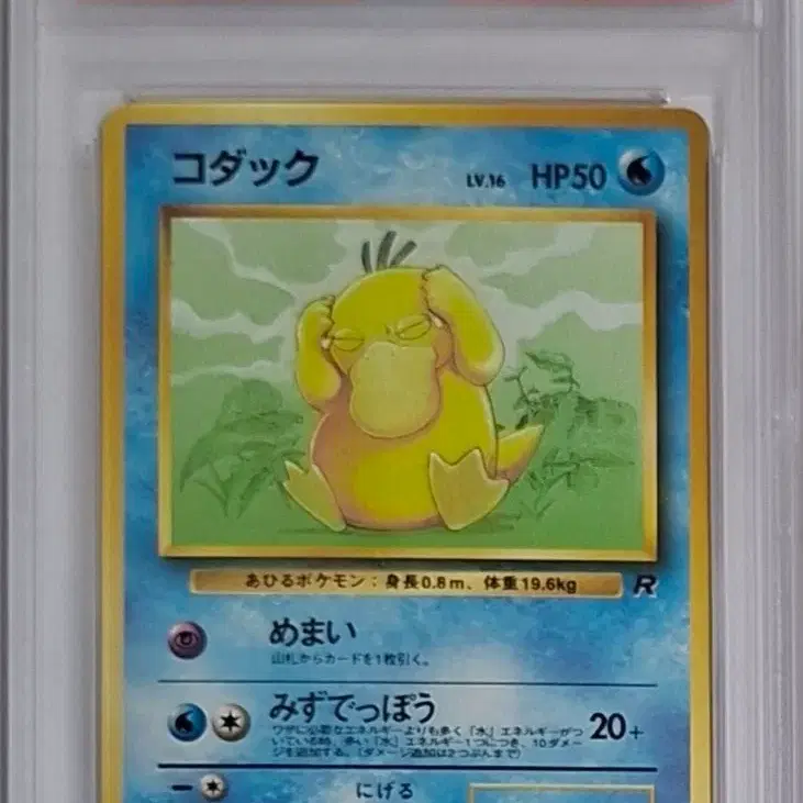 포켓몬 일판 1997 로켓단 고라파덕 psa9 포켓몬 카드