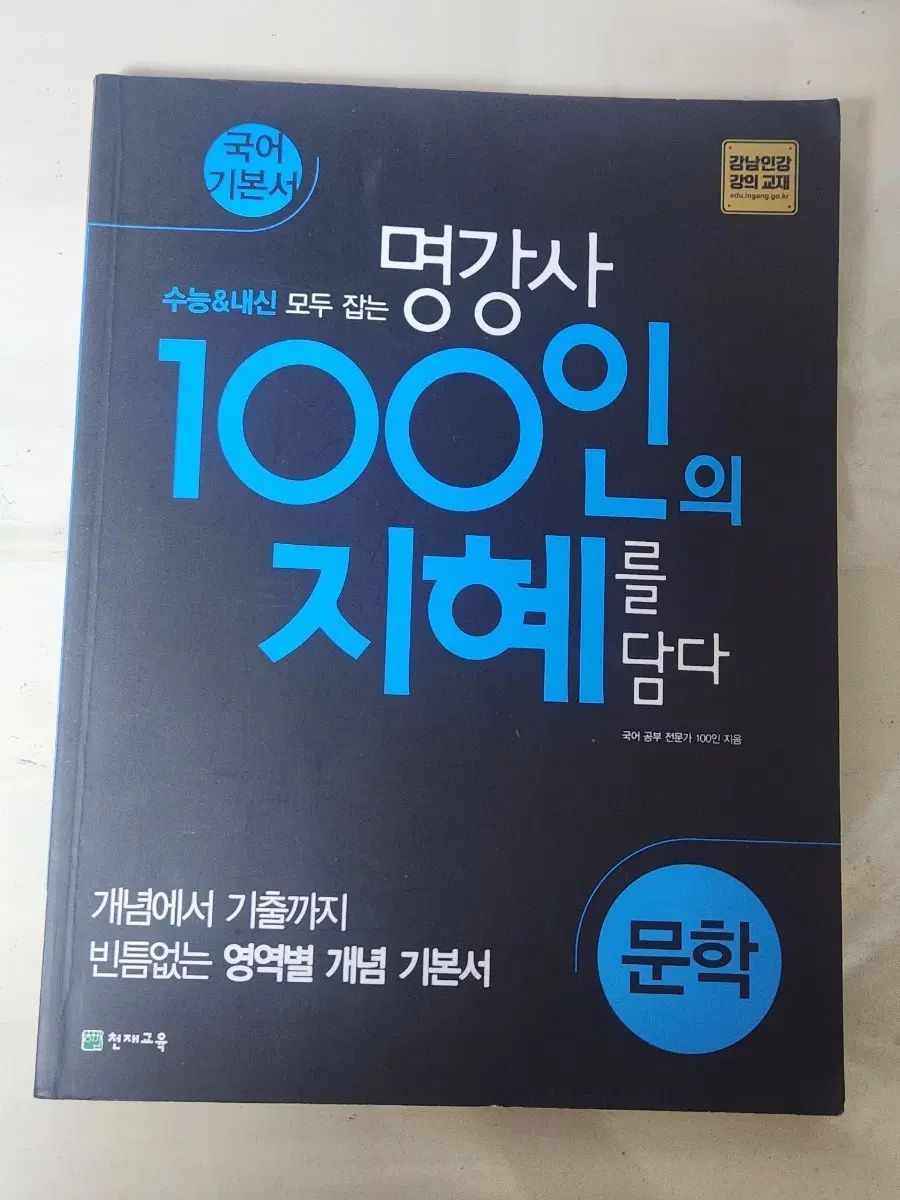명강사 100인의 지혜 국어 기본서 문학