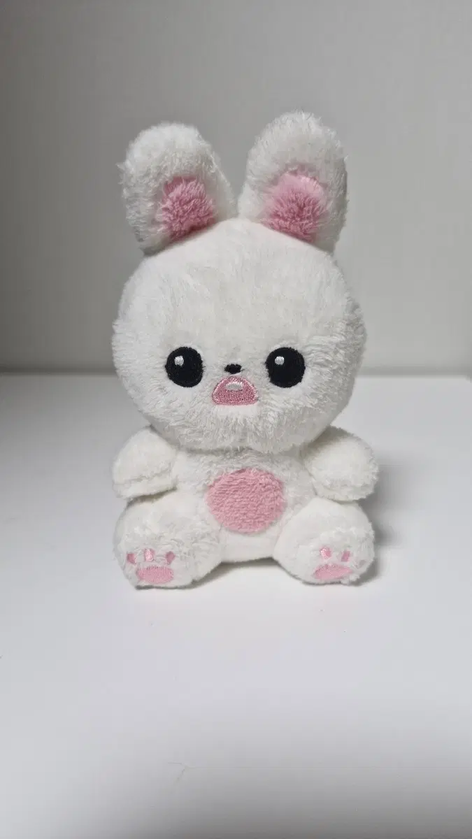 앉니녕 팔아요