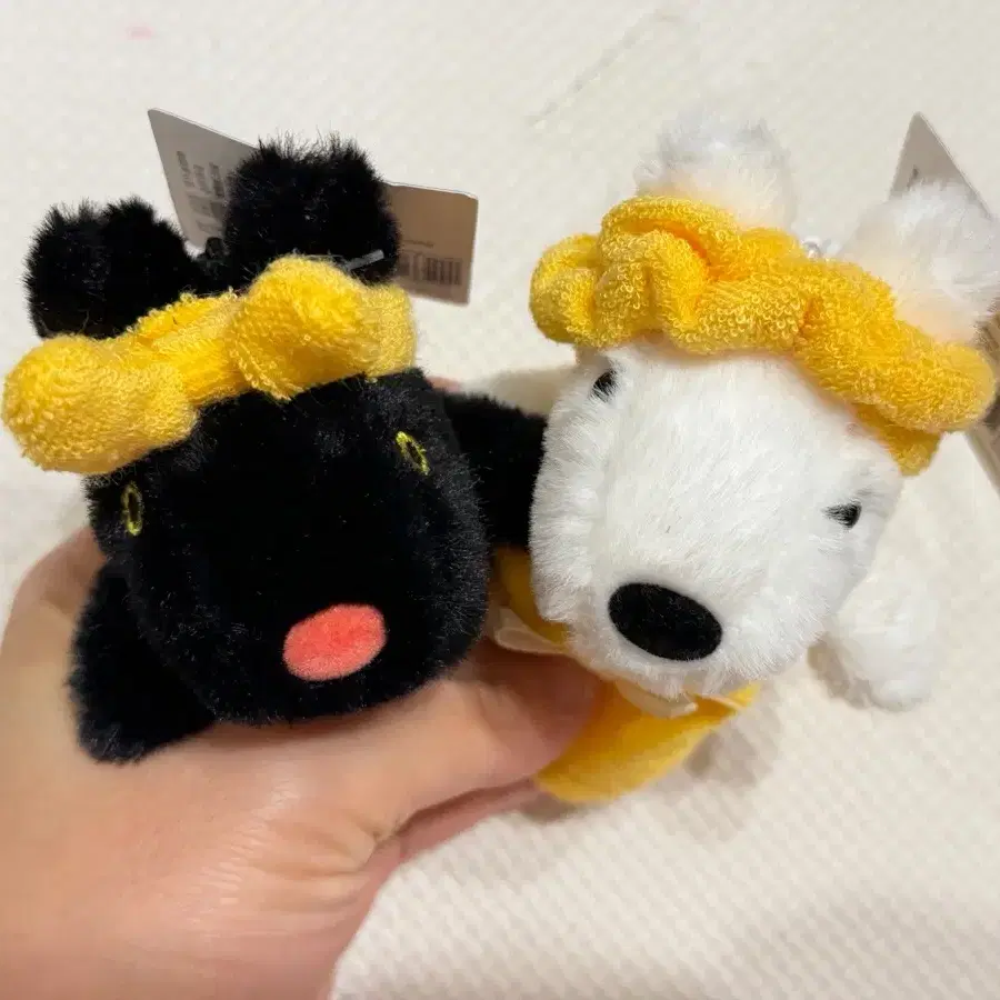 특가/가스파드와리사/8cm 비치타월/가스파드인형키링/리사인형키링